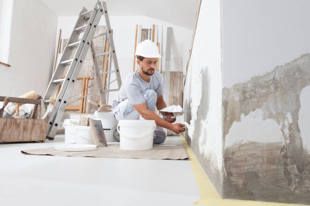  Meridian Village, CO Dry wall and painting Pros