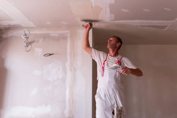 Best Fire-Damaged Drywall Repair  in Meridian Village, CO