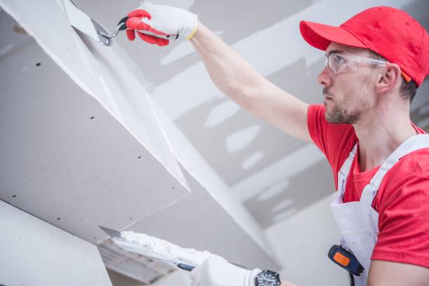 Best Water-Damaged Drywall Repair  in Meridian Village, CO